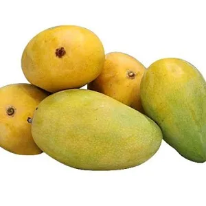 Chinna Rasalu Mango