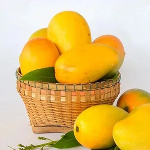 Kesar Mango