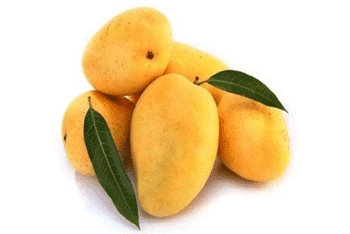 Fresh Chinna Rasalu Mangoes from Andhra Pradesh India - Swadeshi Mangoes Texas