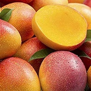 Premium Himayath Imam Pasand Mangoes 2026 Season - South India - Swadeshi Mangoes Round Rock Texas