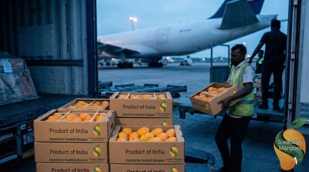 How Indian Mangoes Reach Texas: The USDA Import Process Explained
