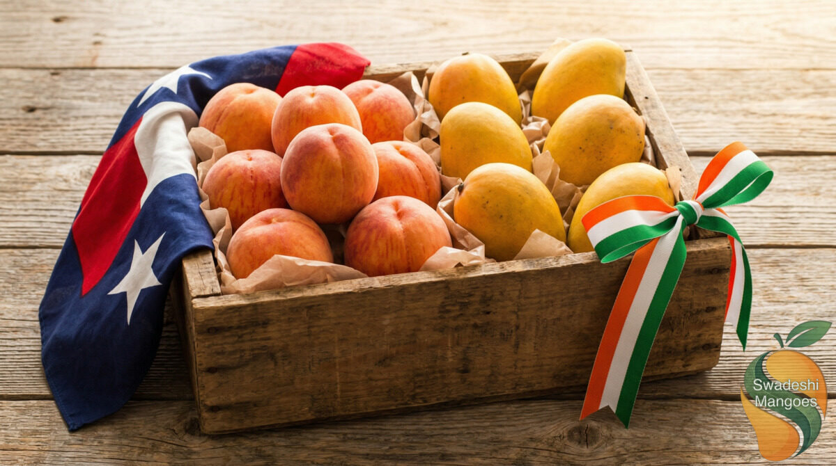 Wooden crate with Texas peaches and Indian mangoes with Texas flag and Indian tricolor ribbon