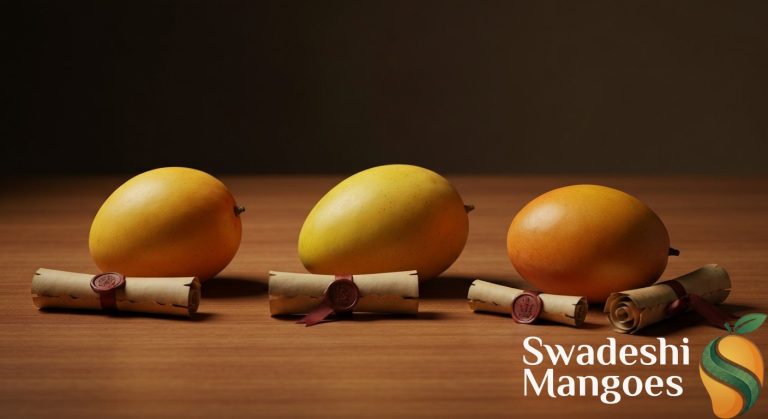 What Is a GI Tag? Why It Matters for Indian Mangoes You Buy in Texas